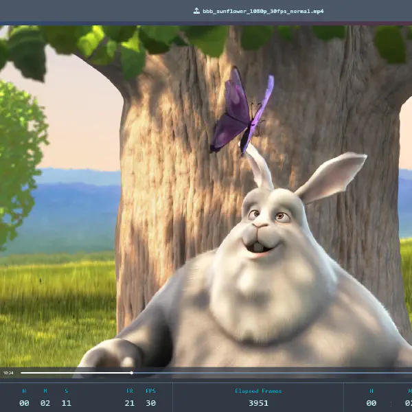 Screenshot 12